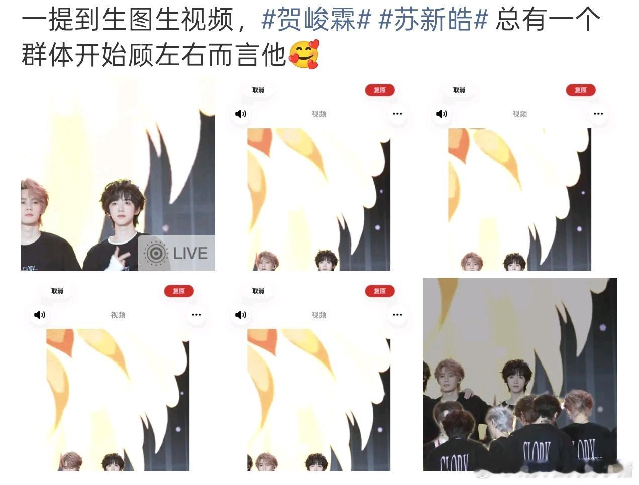 贺峻霖和苏新皓粉丝在争谁是唯一兔塑