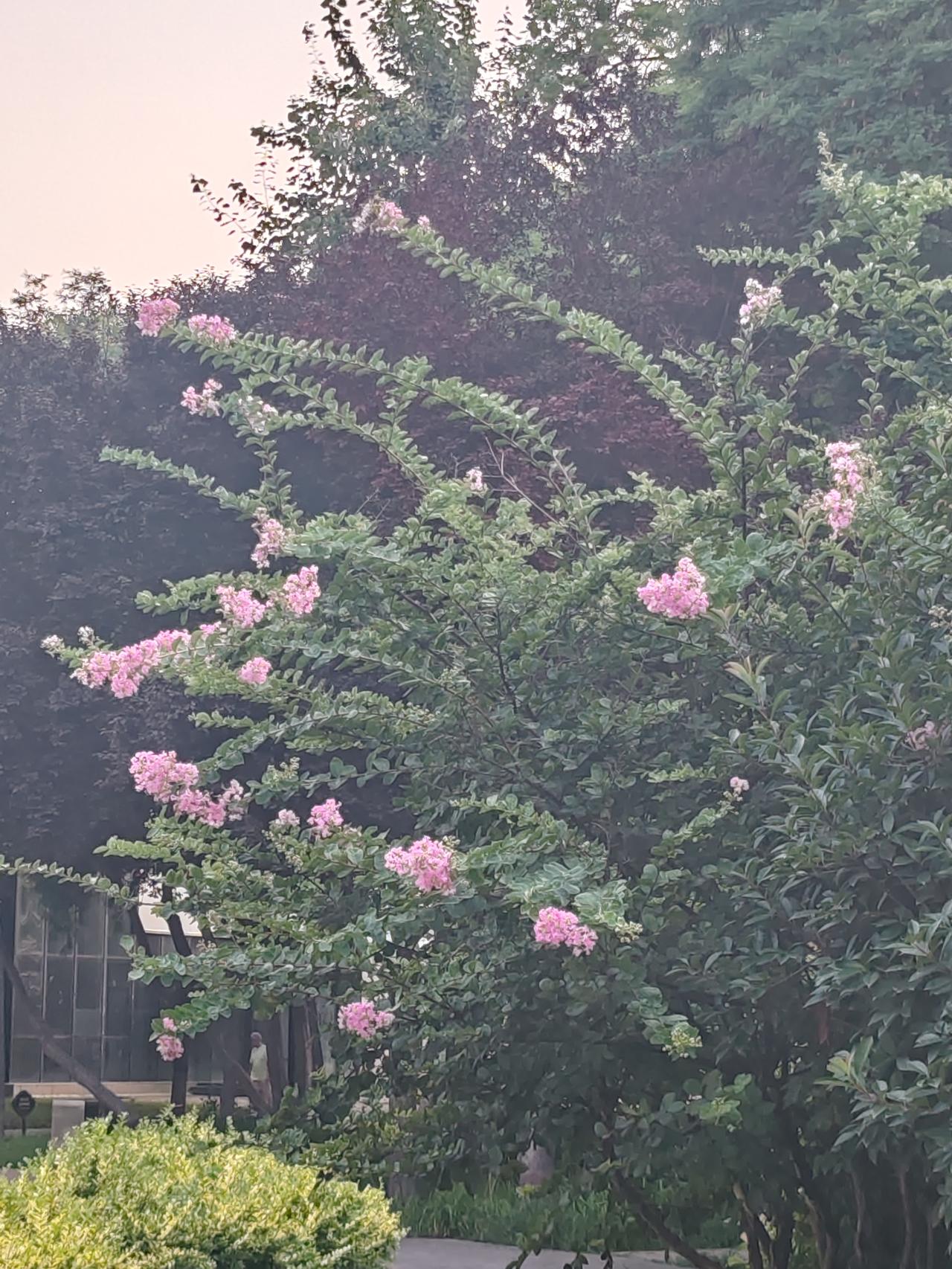 此上联以“暴雨”“大雨”“雷阵雨”呈现雨的不同类型，下联以“台风”“飓风”“龙卷