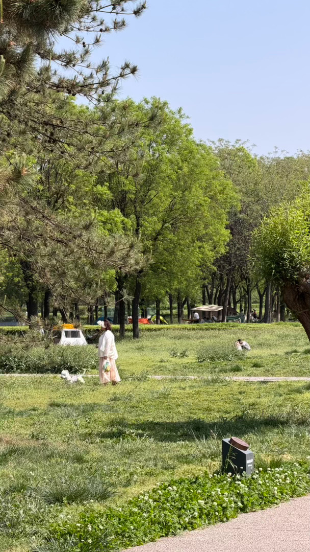 西安初夏的超绝森感西安生活西安旅行 西安·大明宫国家遗址公园