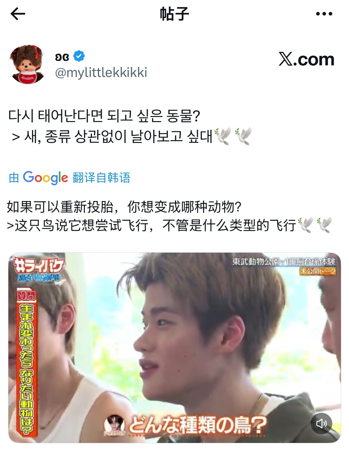 那就做天使吧🪽 