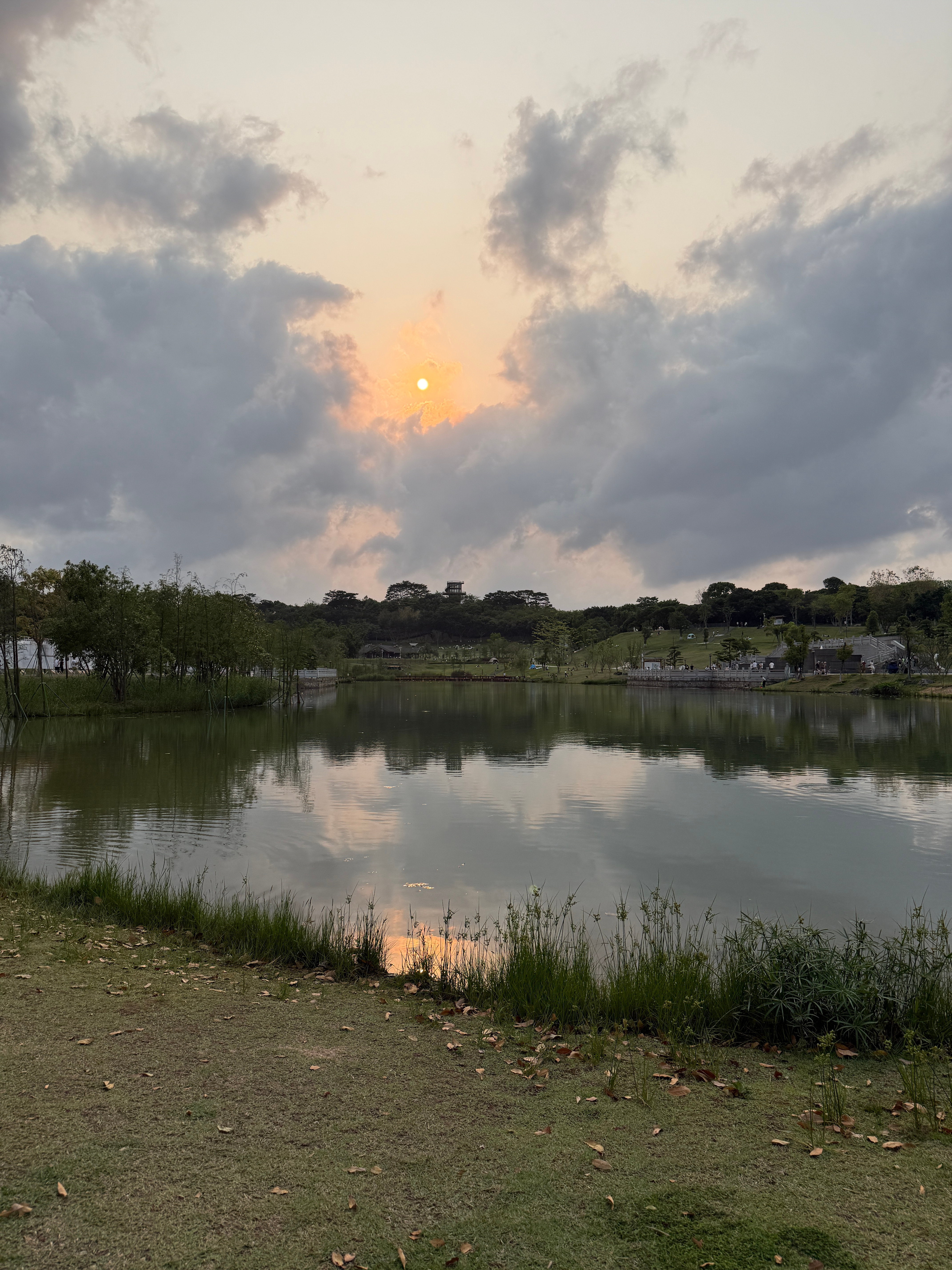 出门晒晒太阳，我感觉中山至少一半的小朋友都来了这个公园 中山·金钟湖