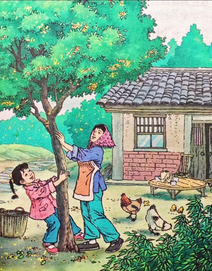 你还记得当年哪些课本上的插图吗？



时代变了，社会面貌也变了，以前的场景在中