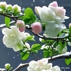 阳光信用 每日一善 爱自己，爱生活，爱思考，爱行走，爱发现，爱探索，愿意拥有，愿
