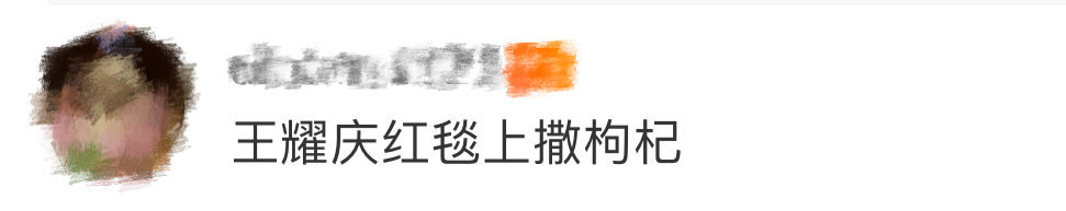 王耀庆红毯上撒枸杞 救命！王耀庆红毯撒枸杞是什么神仙操作！跟《人生开门红》剧组亮
