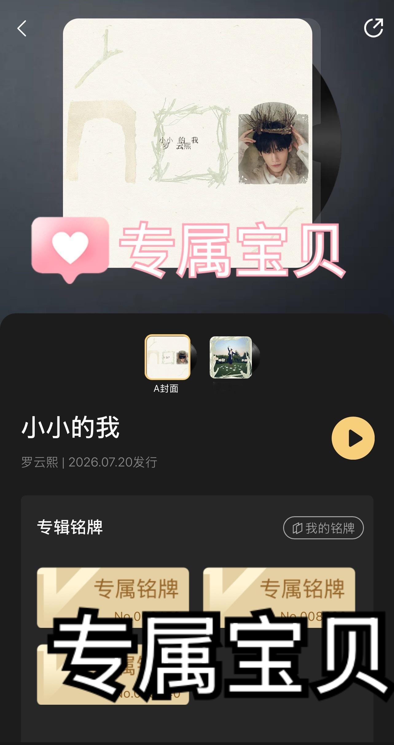所以你们都在我切👌的时候，在买专辑是吗！！！有个老实人轻轻的碎了，汤都没有喝着