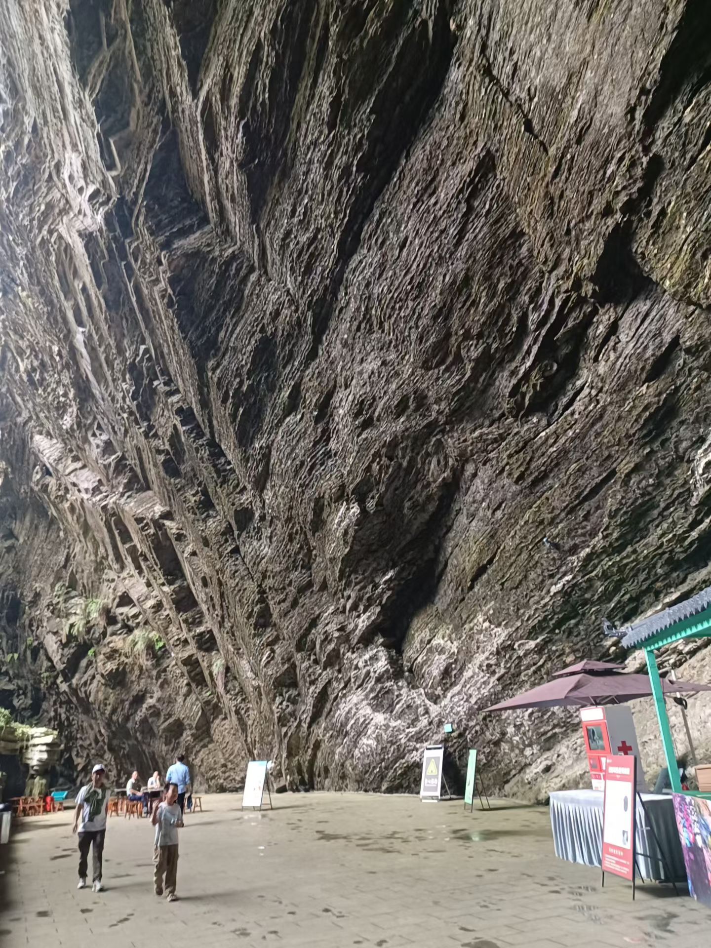plog  人在夏天的任务就是过夏天这就是我保持年轻的秘诀愿你万事从容皆顺意 