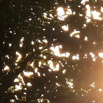 每日一善每日一善 🌞阳光信用 没有心宽似海，哪有风平浪静，做人，尽本分，做事，