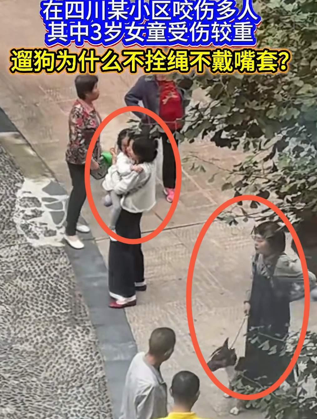 眉山3岁女童被烈性犬撕咬：伤口会愈合，有些痛却要跟她好多年

9月12日傍晚，眉
