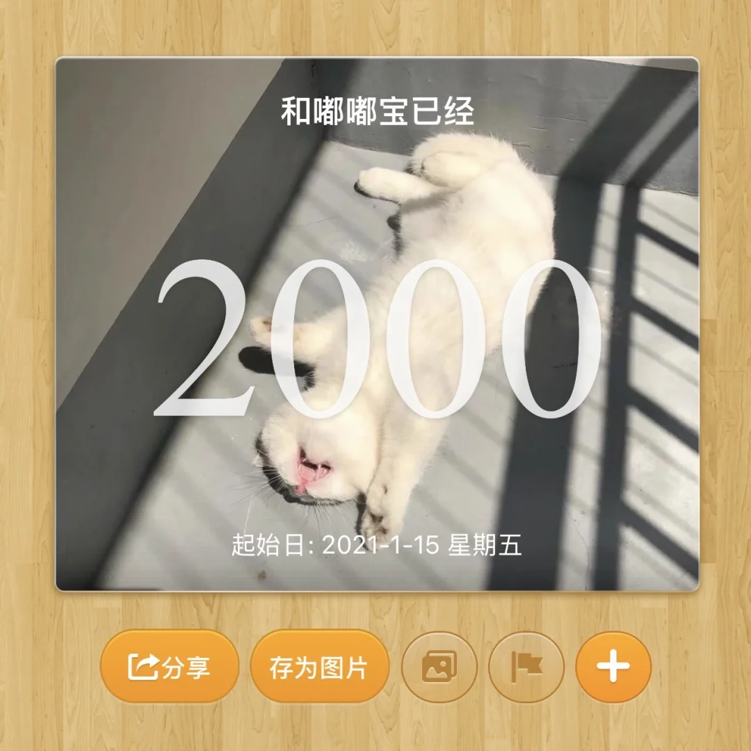 一个平平无奇的记念帖