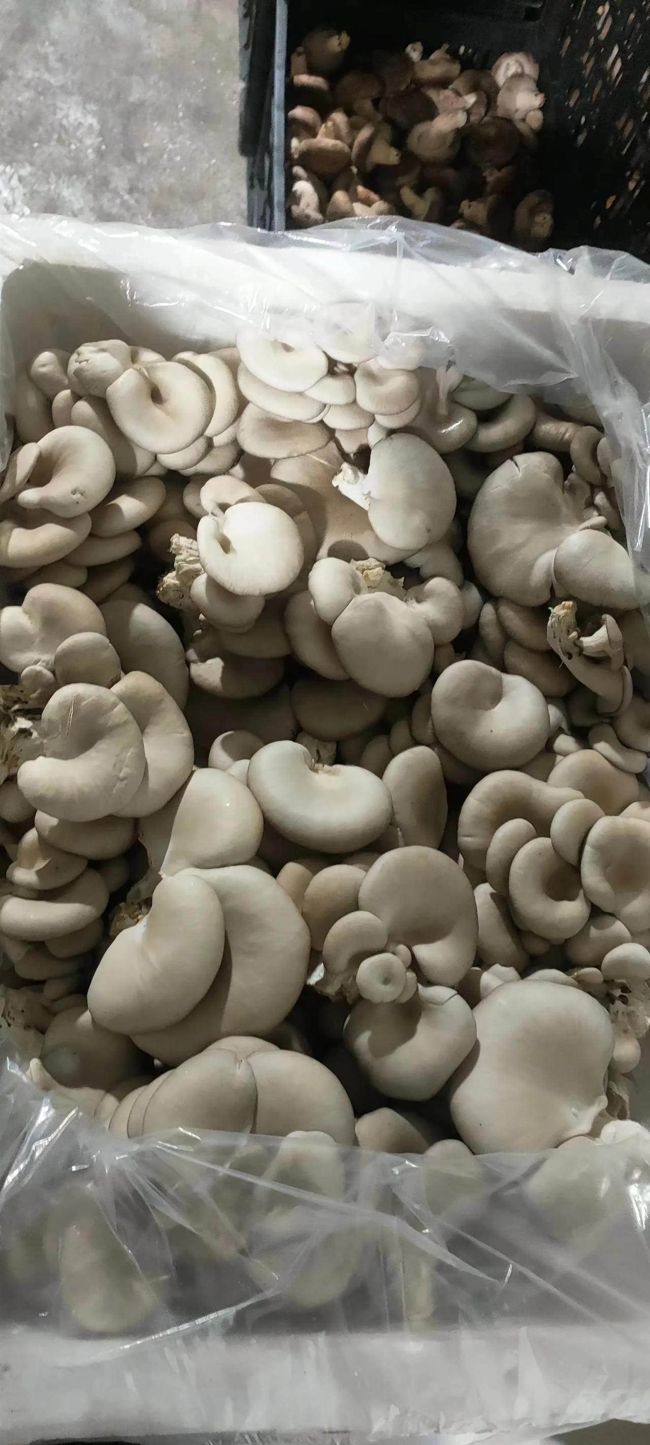 可以的。关键是什么叫稳定，标准是什么？