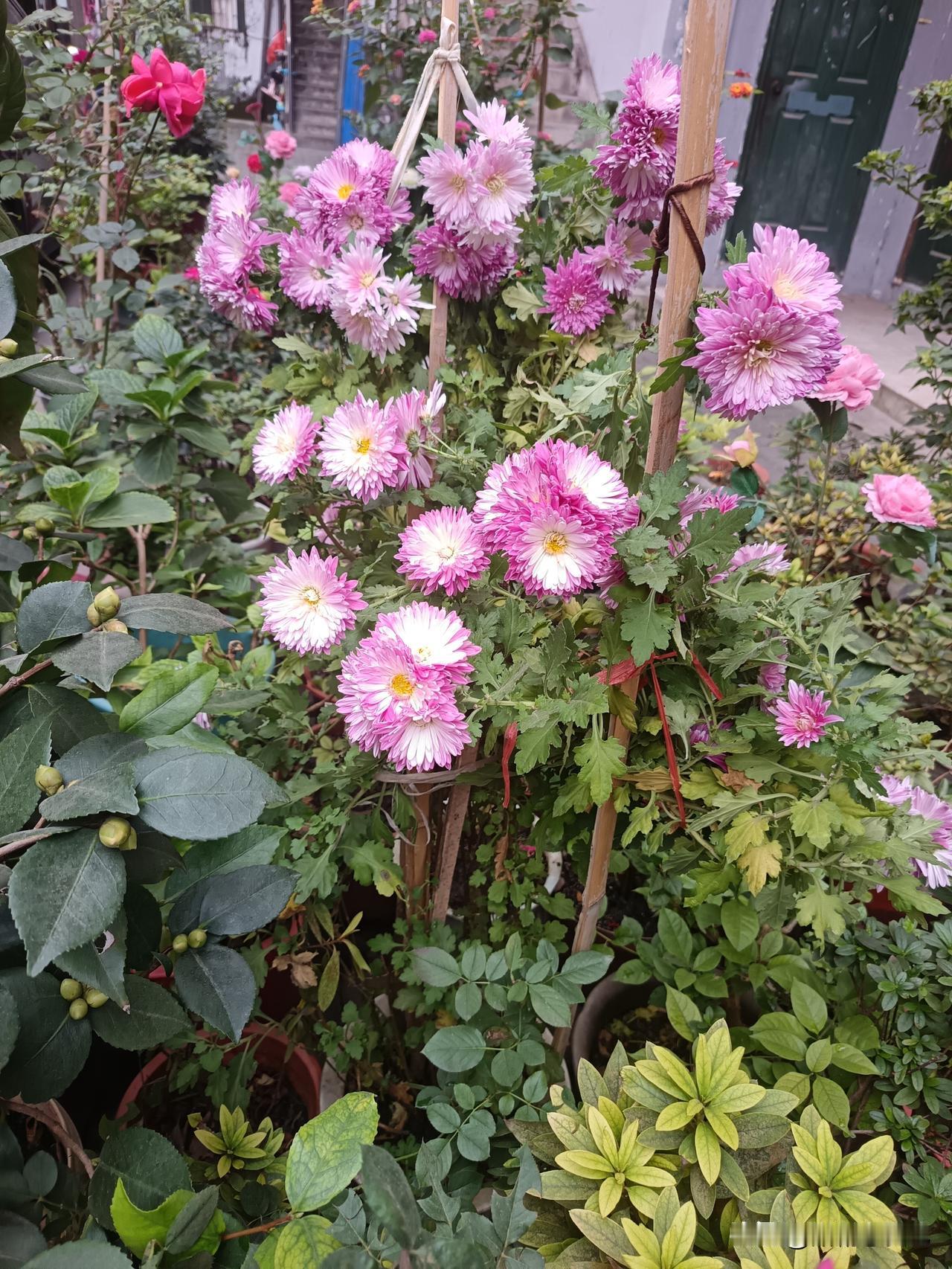 上联:屋漏偏逄连夜雨
下联:人逢喜事精神爽