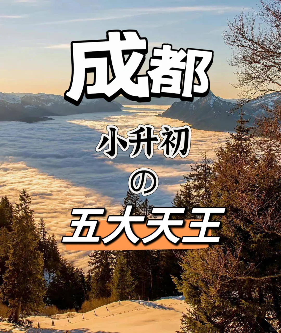 ㊙️成都小升初 | 五大天王的故事