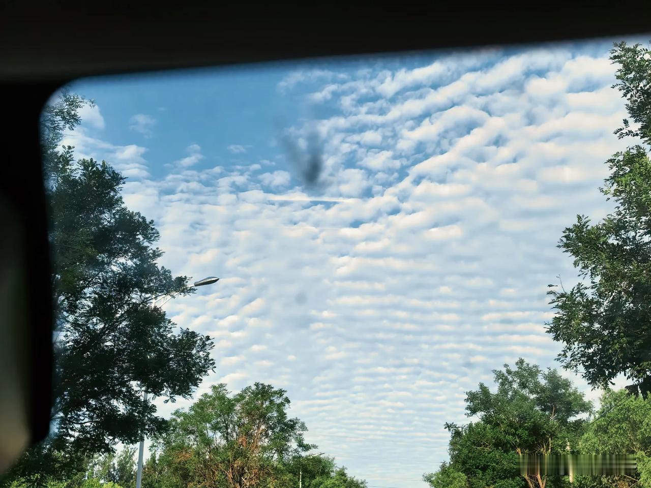 看看这样的天空多美！

最近这天儿太热了，每天也就早晚出去逛逛。那天早晨出去，看