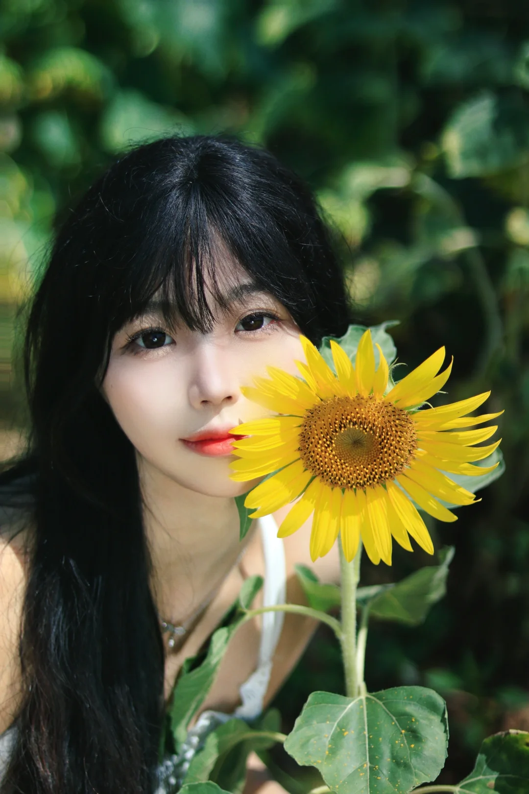 河源向日葵花海🌻太美啦