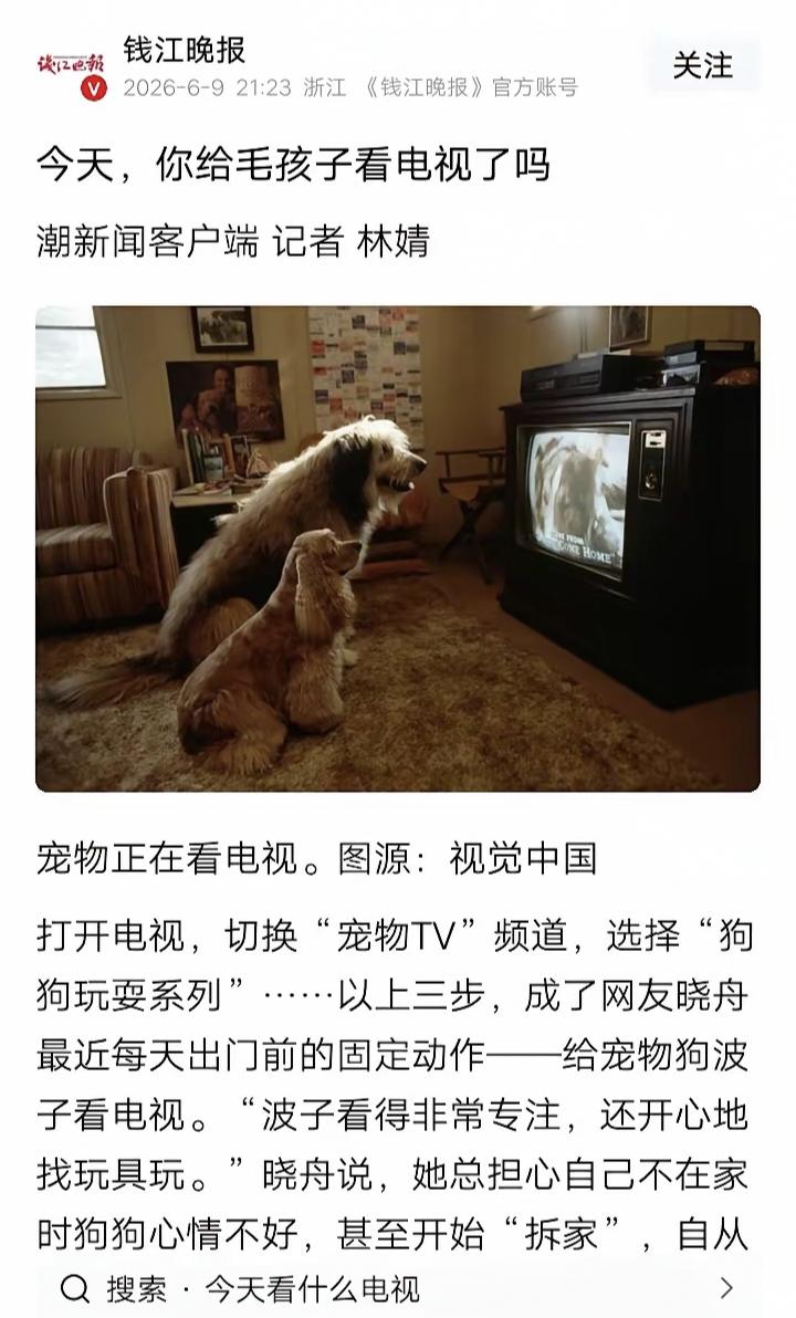 用心良苦，猫狗都有专门的电视剧频道，也不断走上记者的笔端，他们奋斗的目标大概是按