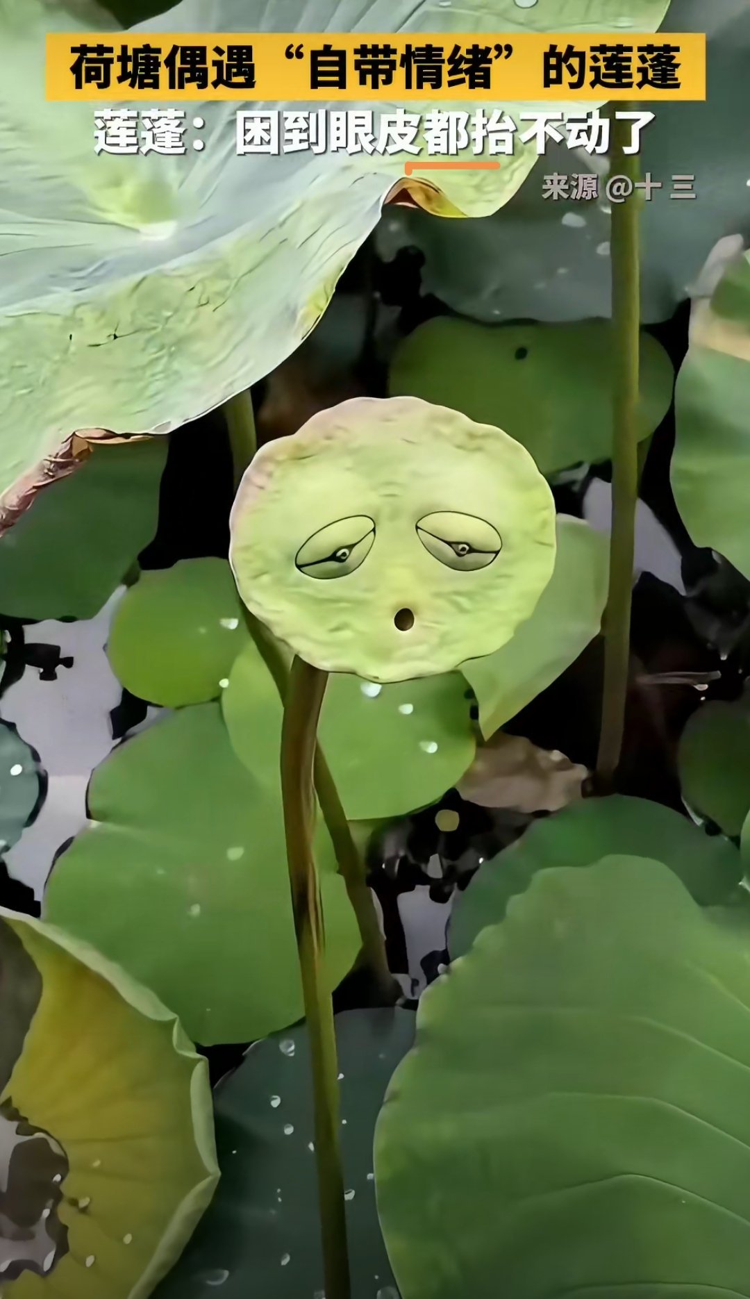 中国男篮 后卫线没有稳定的三分球，缺好用的后卫，失误又多，这就是中国男篮的现状。