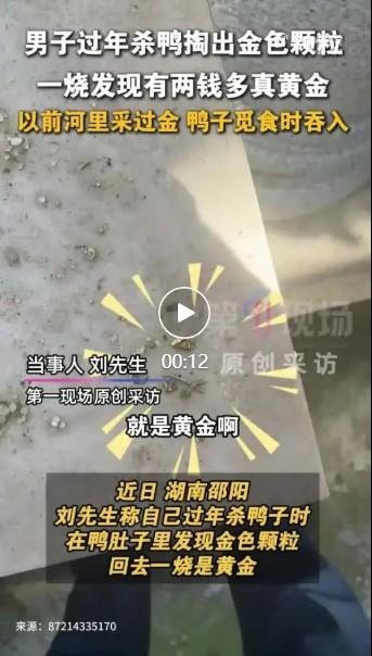 2026年2月26日，湖南邵阳刘先生的一则经历刷爆网络：他宰杀自家散养鸭时，从鸭