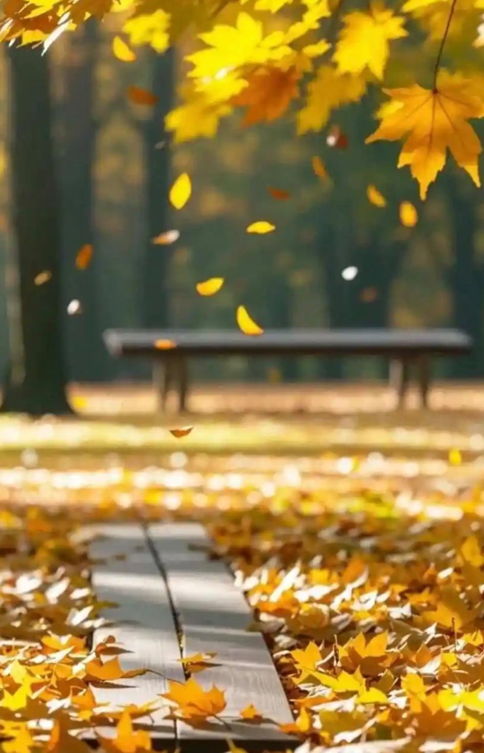 《别秋入冬》
西风冷罢转北风，
节序推进入了冬。
荷老杆枯举水上，
菊鲜花美傲霜