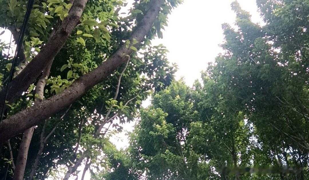 有人问:
为什么避孕套的销售量持续下降？
而助男性功能的药销量稳步增加？

我觉