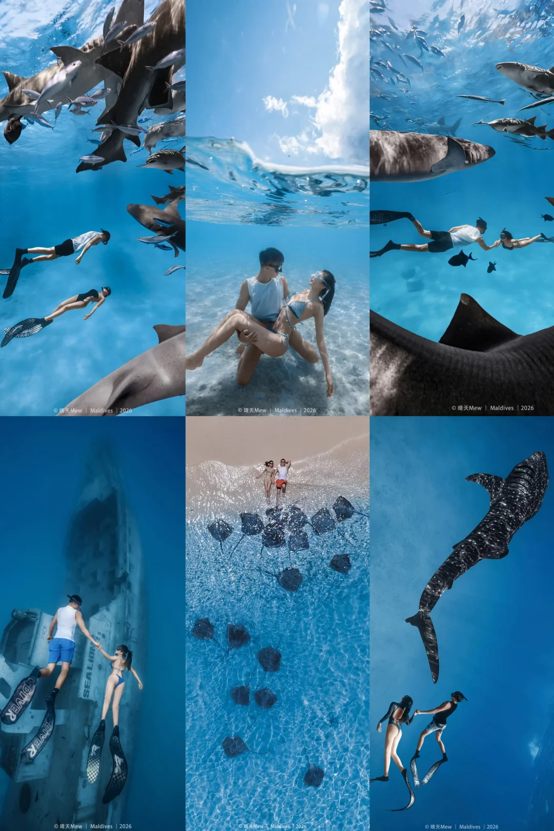 情侣自由潜全记录｜🤿马尔代夫定制包船拍摄