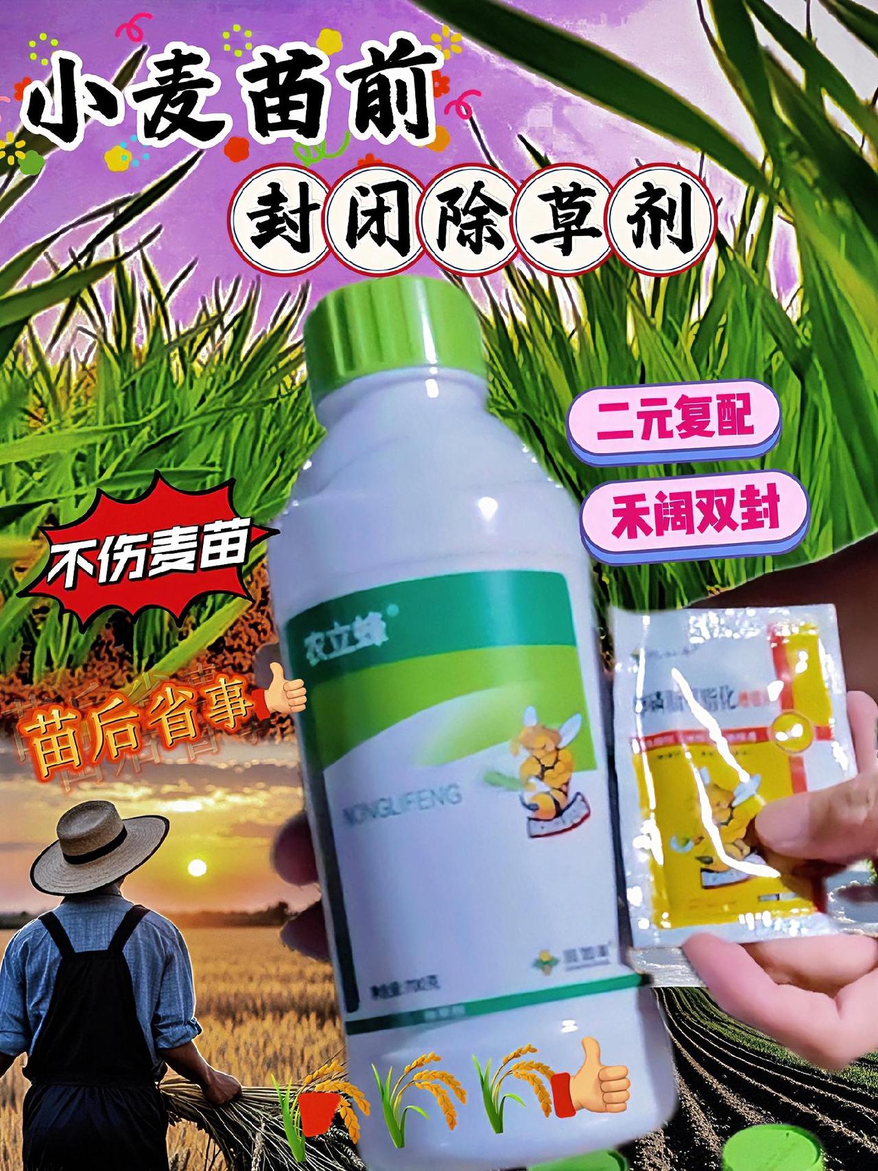 你见过杂草比小麦长得还旺的吗？年年为小麦除草烦恼吗？苗后除草天气冷，效果差还伤麦