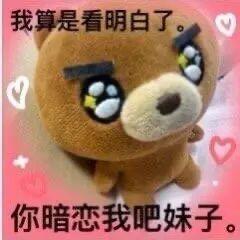 迪迪熊可爱搞怪表情包 