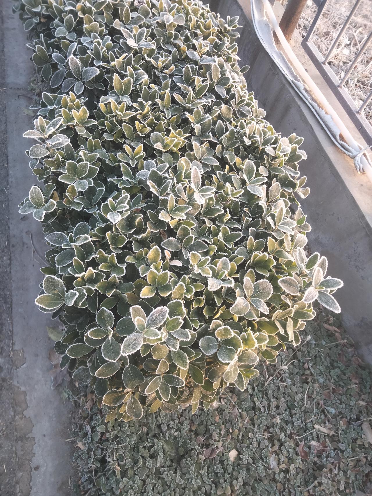 户外活动，舒展筋骨，心情格外舒畅。