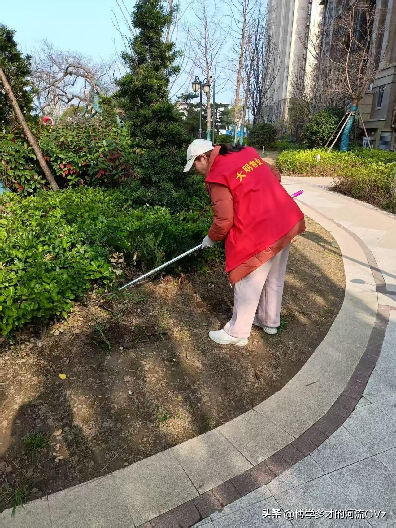 今天是金碧物业走后的第145天，大明物业的第53天。

对于群里面的争吵，物业总