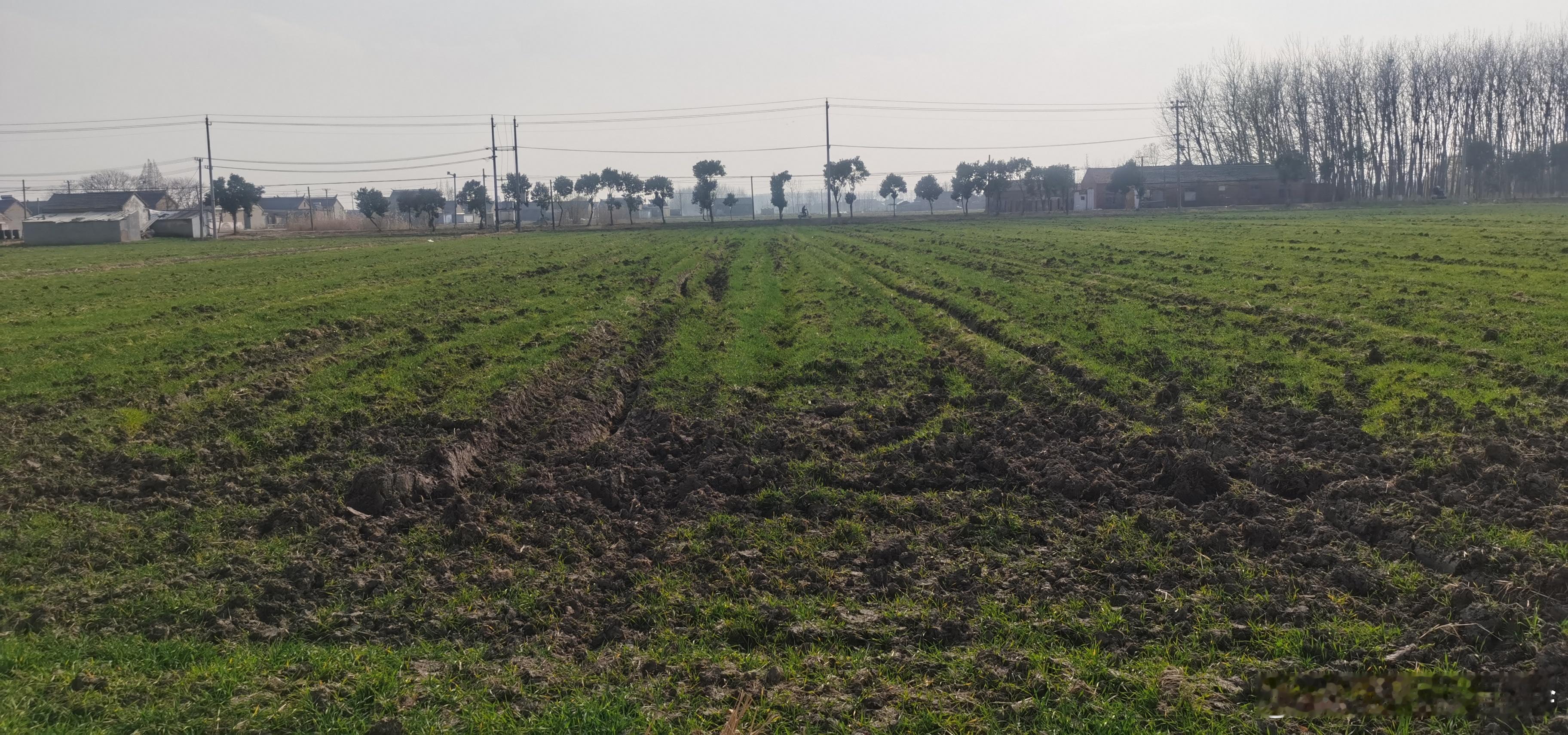 是时候表明我苏北人的身份了 盐城