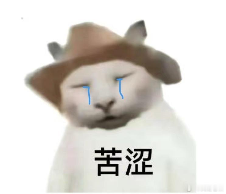 院子里现在到底有几只猫我都不清楚了，有些猫我也不认识[泪奔]它们到底哪来的啊？好