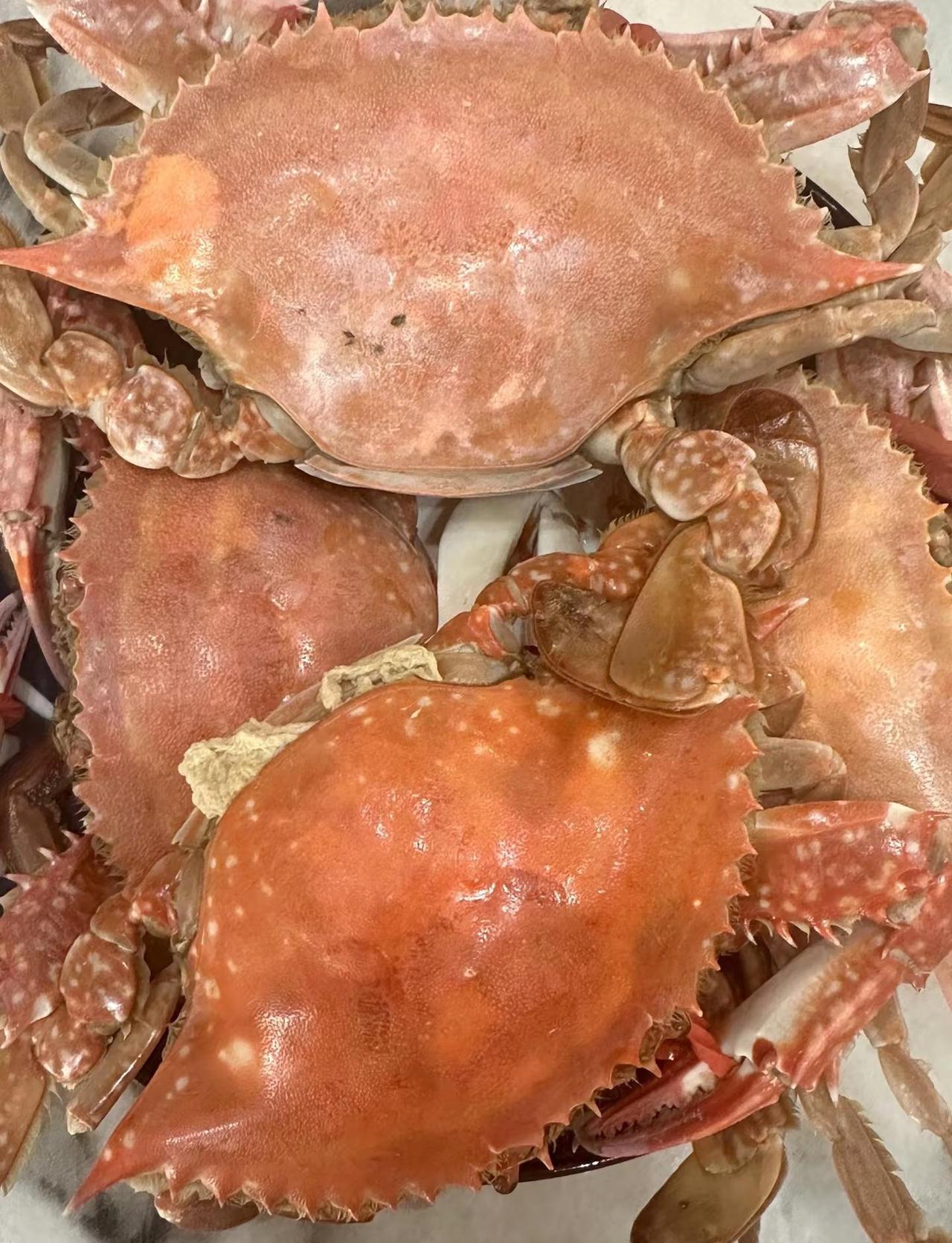 突然发现自己没什么想要的、只想安安稳稳的一年又一年……