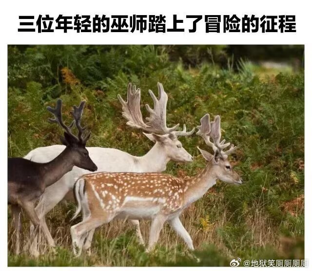 1423少跟人纠缠多看大自然 