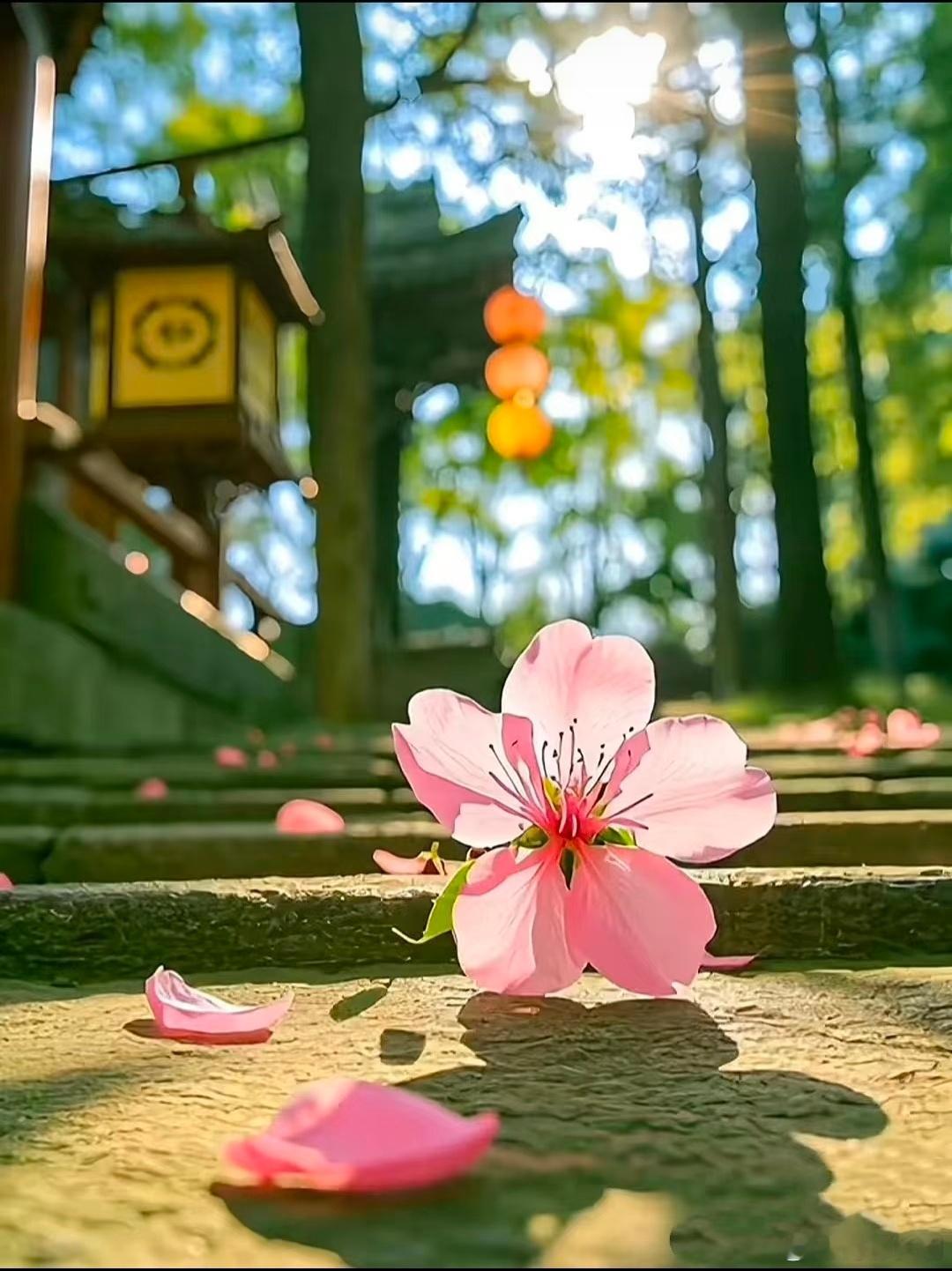 世间所有的福报，都是善意的累积。🙏不必质疑因果的力量，它从不辜负真诚你播下的种