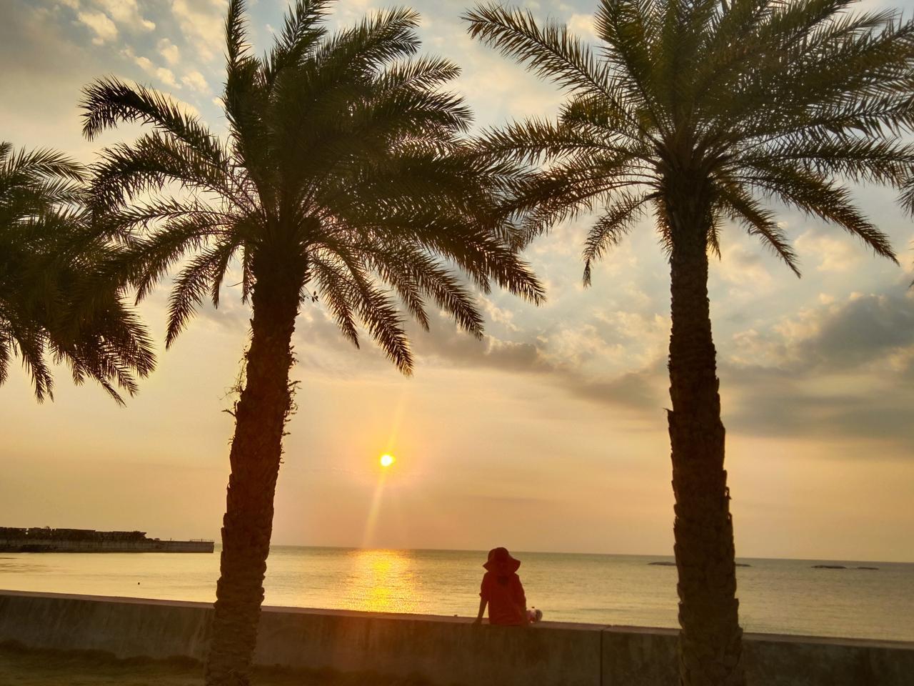 上联：青山绿水共长天；念姐邀对下联：碧海蓝天一线牵。友友请出下联 对下联 友友请