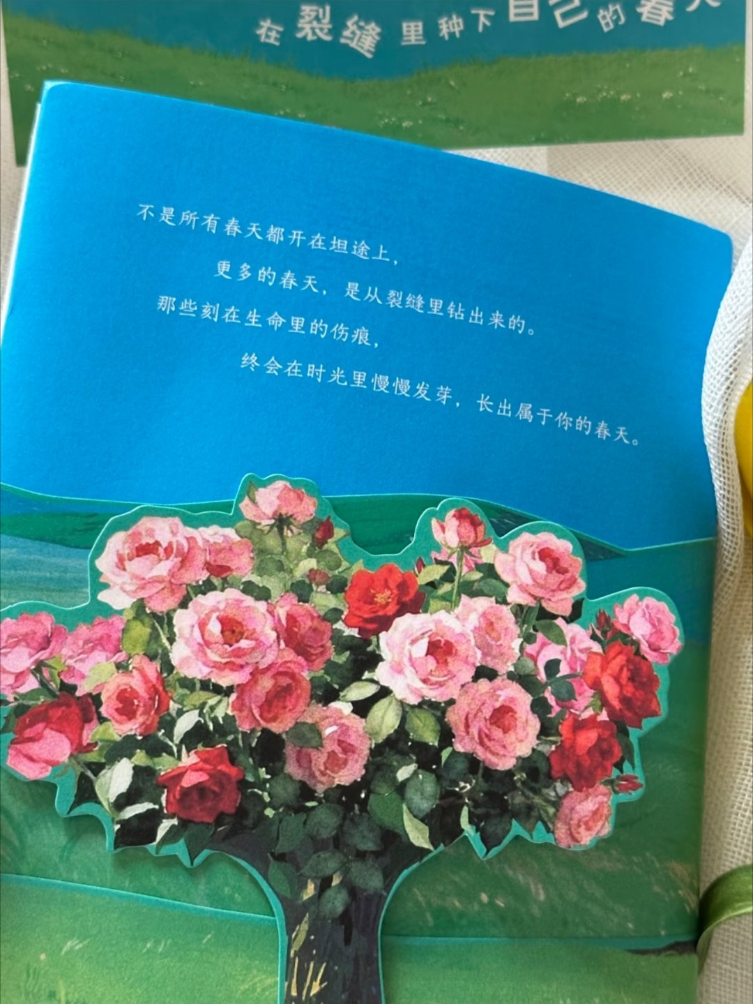 一眼沦陷怎么会有这么美的书啊！！ 