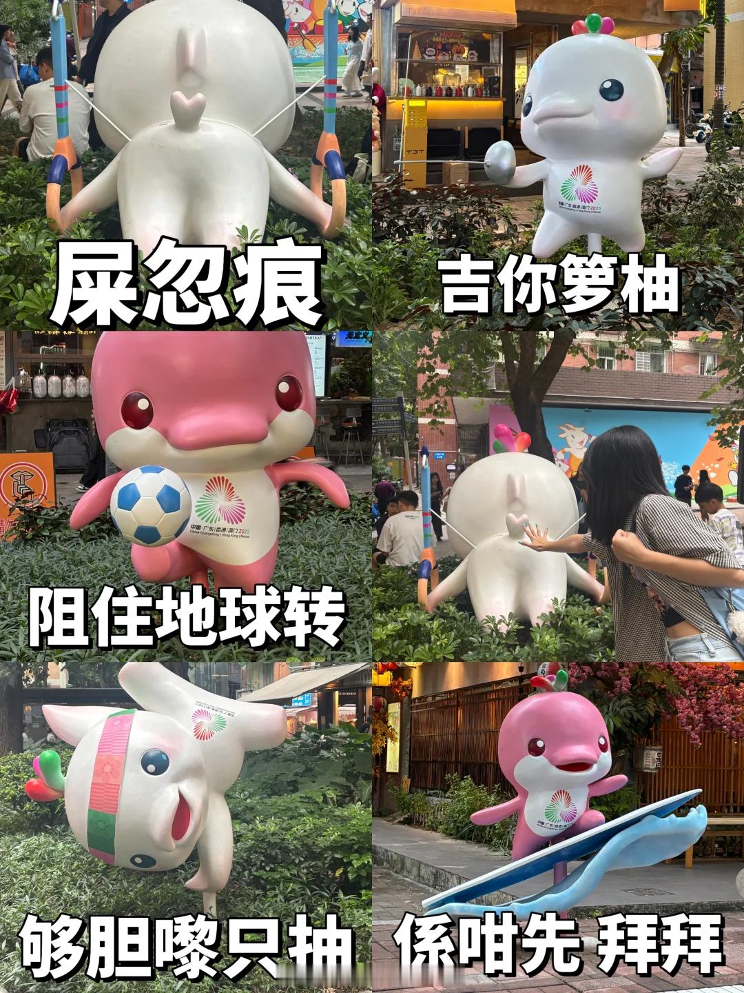 笑Q死我大湾鸡[二哈]第十五届全运会热点现场 ​​​