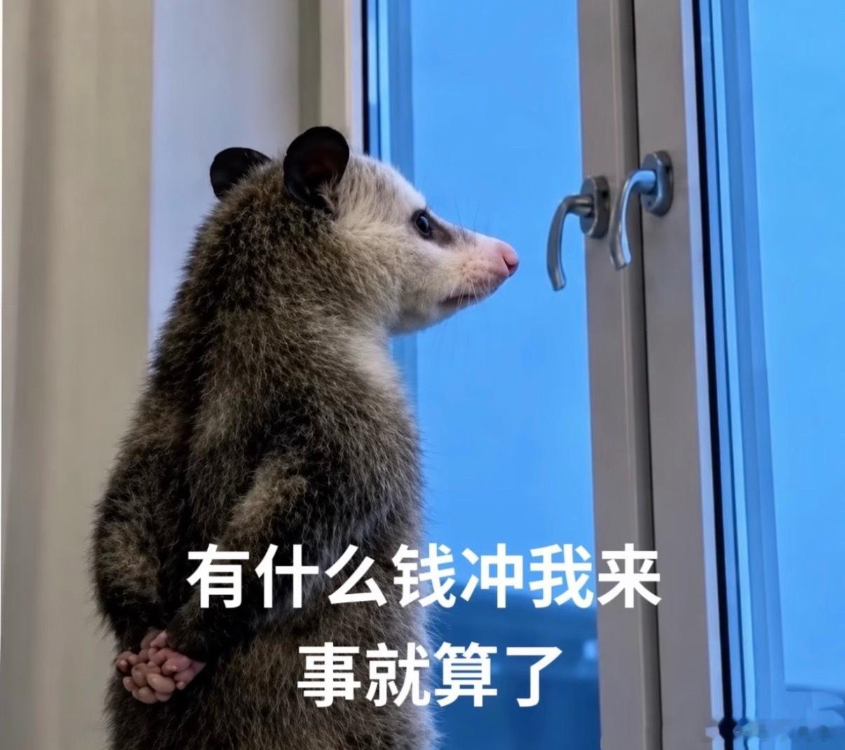红包预告🧧继续互动榜红包！！疯狂星期四下午15:00当日互动榜前100可领记得