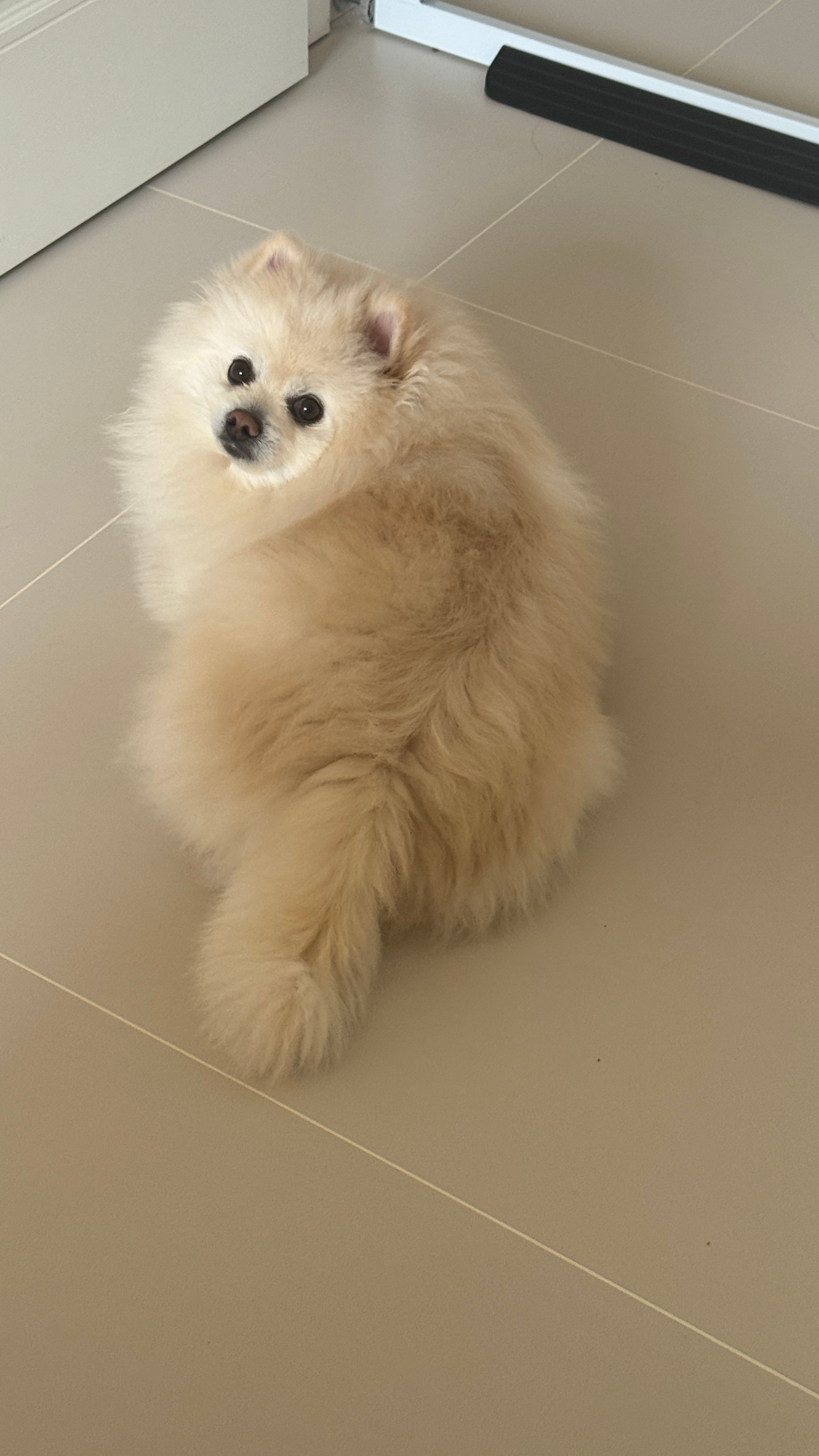好胖胖 