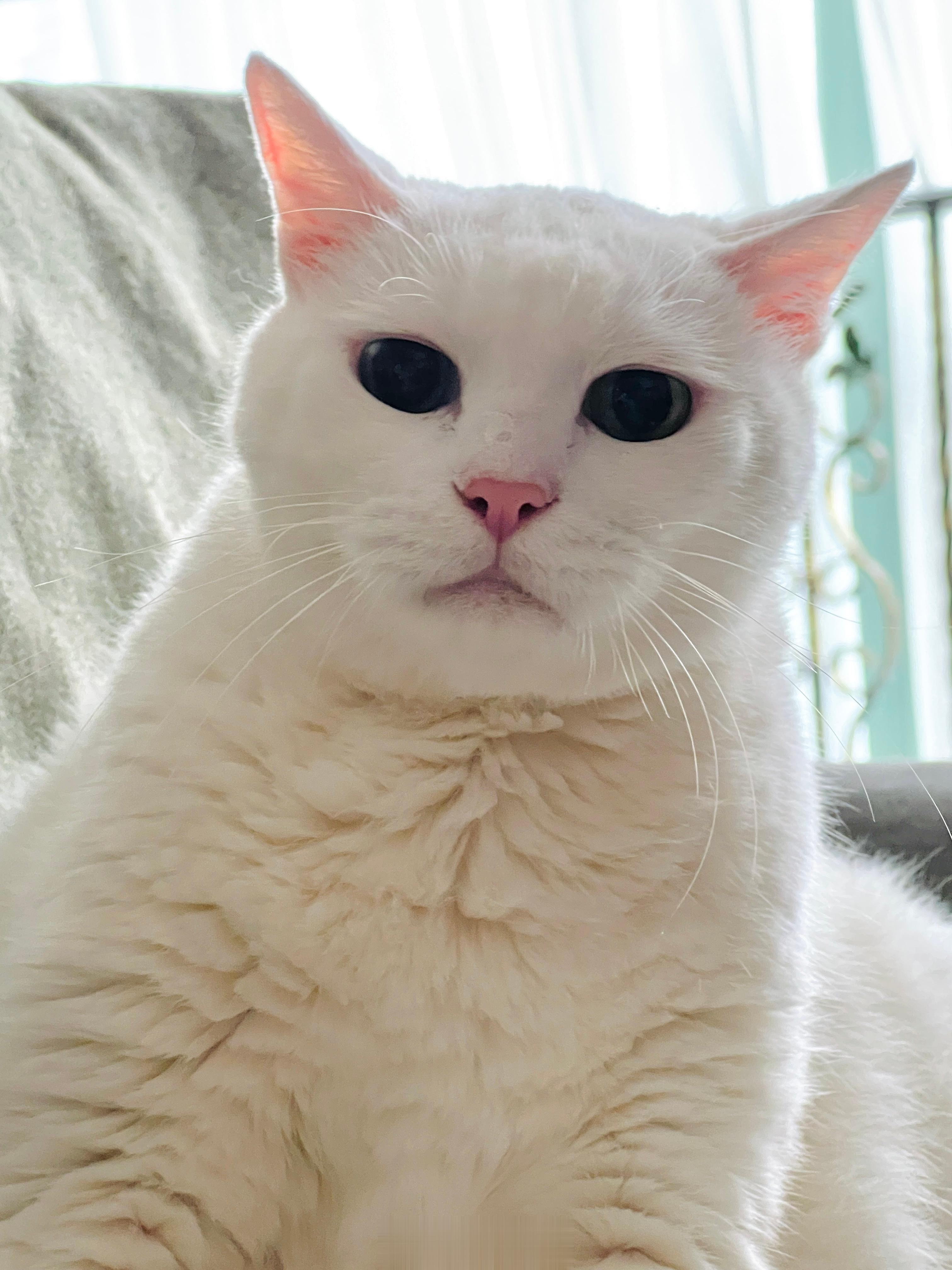 ⋯⋯#吉寞芳心# ​​​