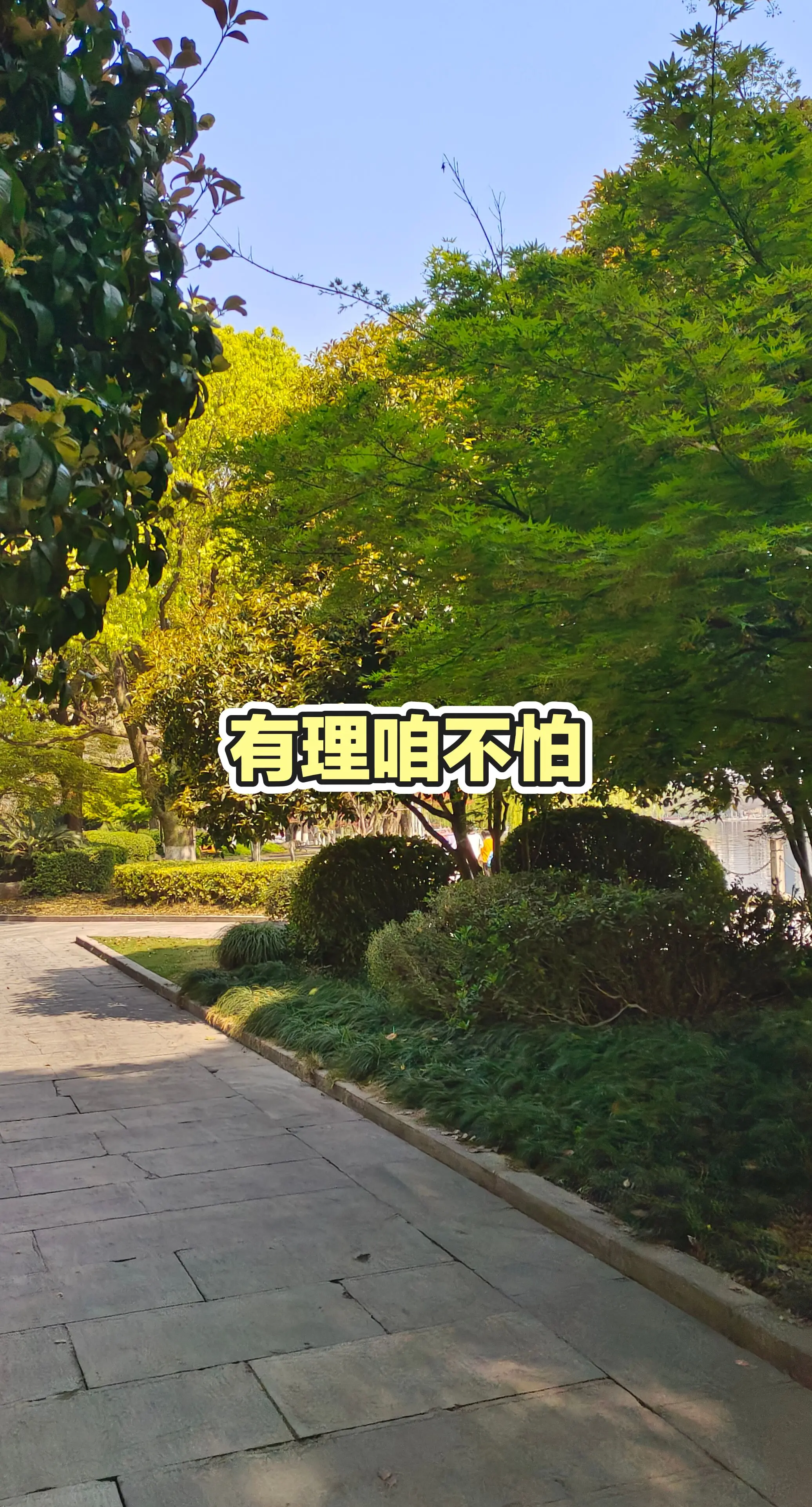 林荫小道