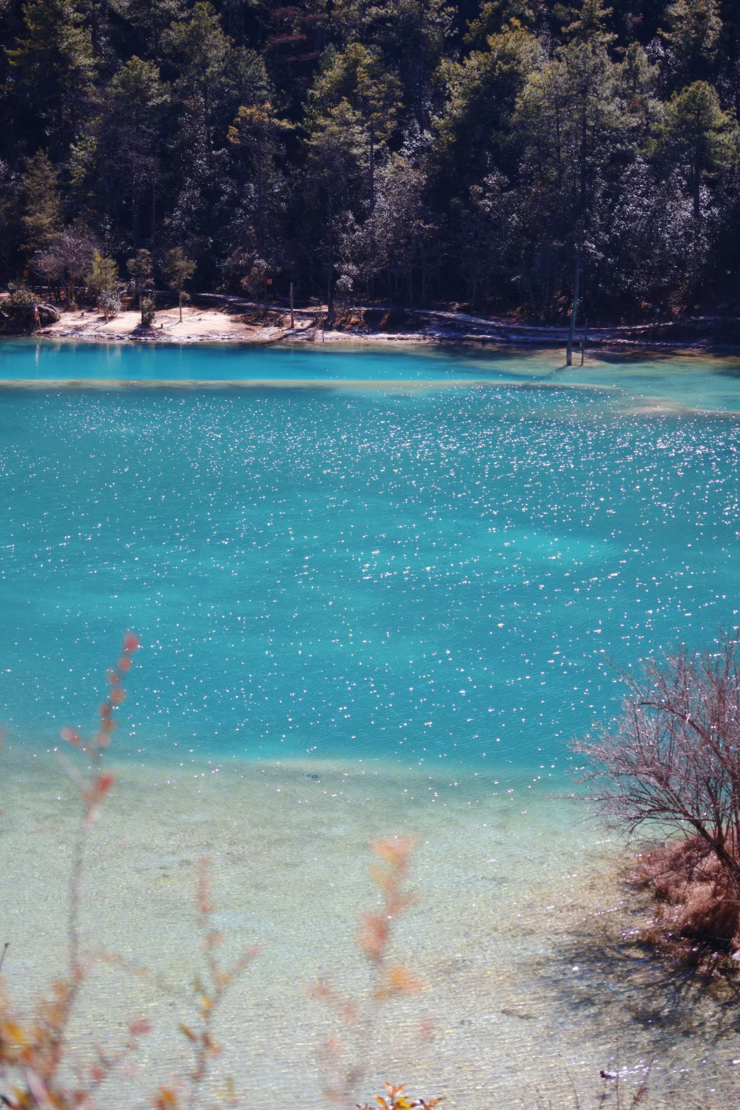 蓝月谷🦋｜是雪山下的一抹蓝，纳西族的家🏔️