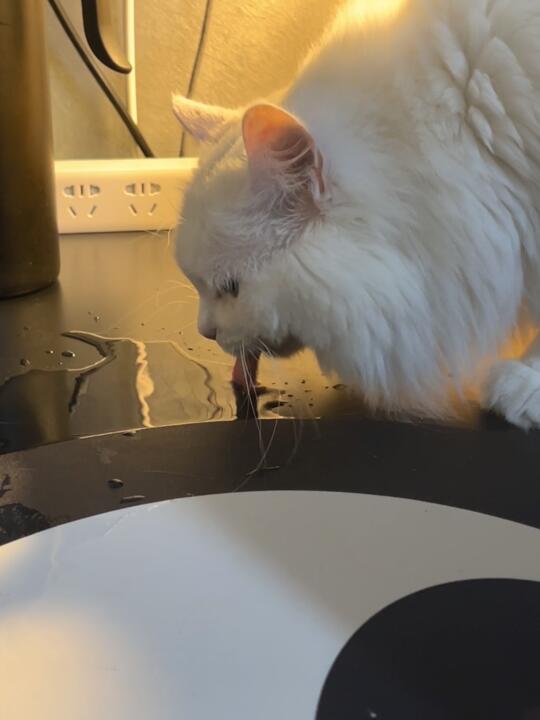 懂了！偷来的水才是顶级山泉🙃