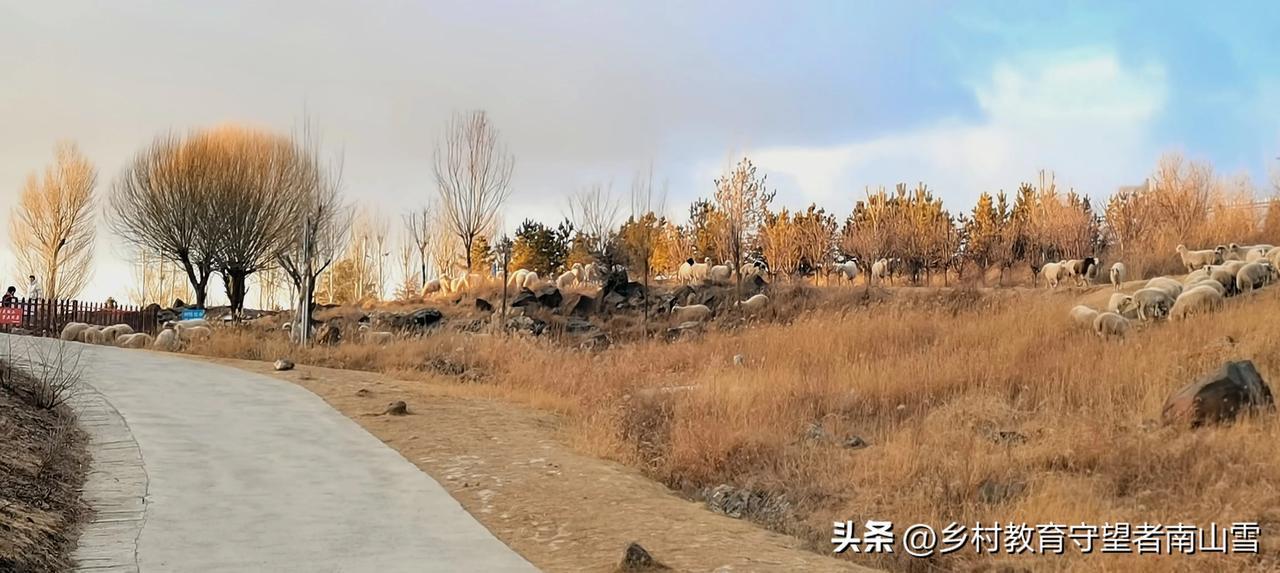 （手机拍摄：离，原创图片，使用请注明出处）
 记录我的2024 中国摄影圈