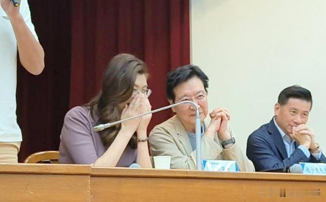 蓝营大佬齐出动，一人喊“台湾福建两省”，赵少康证实一事，2028的布局出现了！