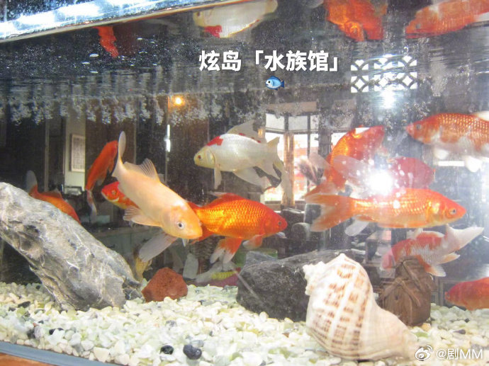 关晓彤立秋片场照关晓彤自己吃的vs片场请大家吃的关晓彤立秋的片场分享！自己吃健康