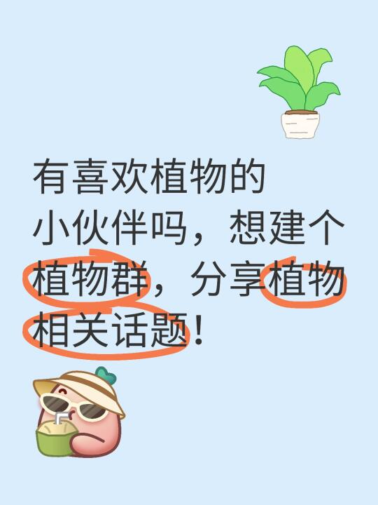 喜欢植物的小伙伴们快来看看
