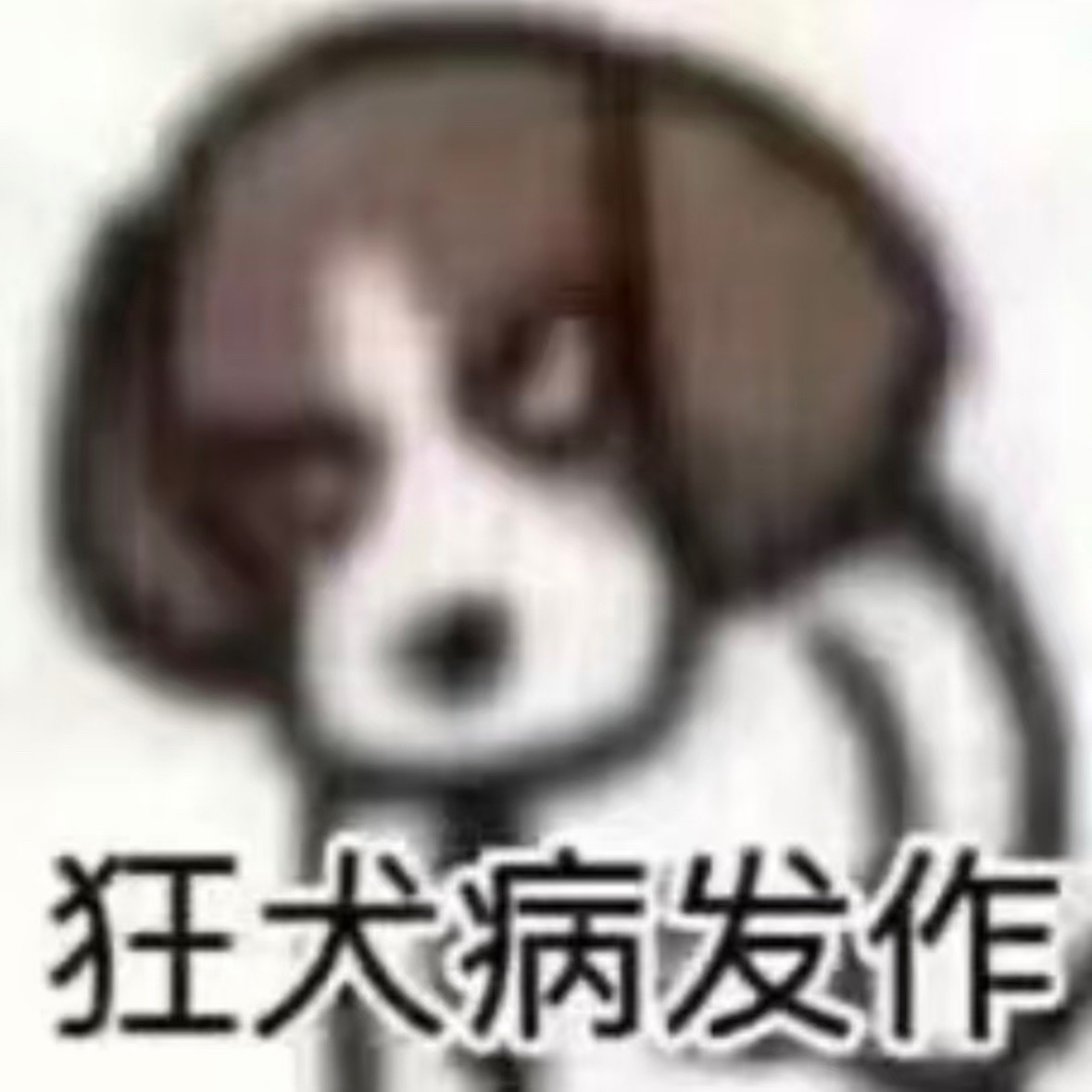 这是我本月打到的第三趟车上全是烟味的网约车。我内心：大夏天爱在车上抽烟的司机就应