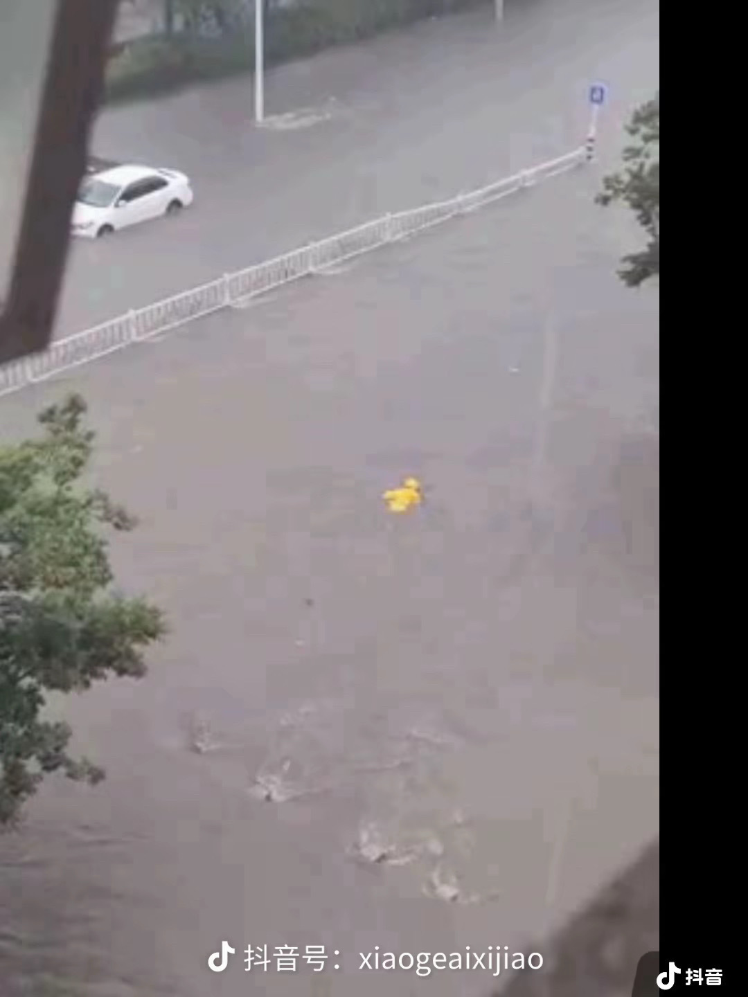 成都暴雨成都暴雨国家很关注，似乎四川人一点不在乎该神的还是很神，晚上看评论区能笑