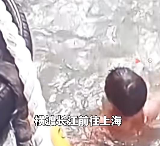 “是个狠人！”8月7日报道，江苏，一男子没钱买船票，为了去上海，他试图游泳横渡长