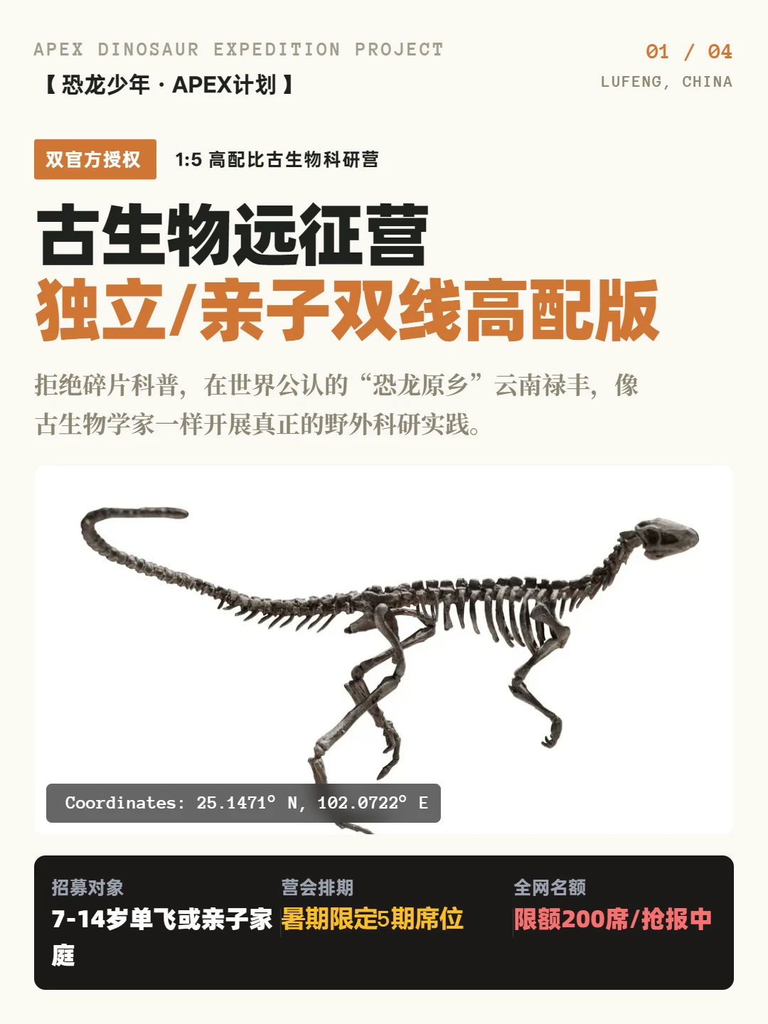 全网寻找7-14岁的🦖恐龙迷！